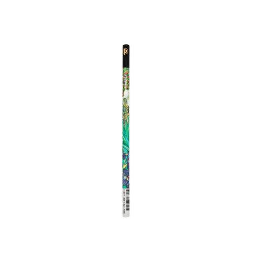 Bleistift van goh's Irises