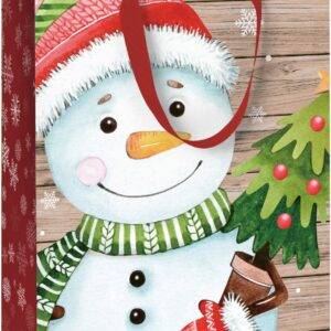 STEWO Geschenktasche Alwin