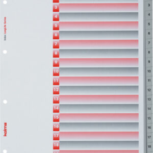 Register LongLife XL 1-20 grau