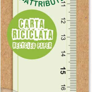 Arda Massstab Re-Generation 30cm