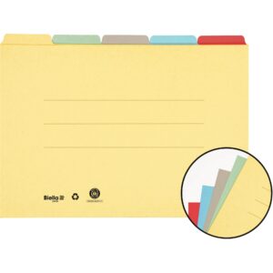 Registermappe A4 5Farben ass