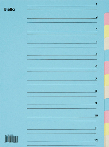 Ordnungsmappe A4 12 tlg