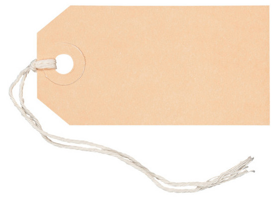 Anhängeetik. 4,5x9,0cm 50 Stk