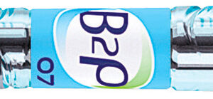 Pilot Gelroller B2P schwarz