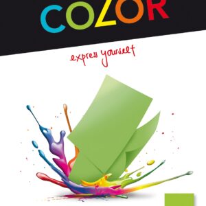 Universalpap.Color A4 80g grün