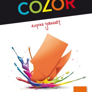 Universalpap.Color A4 80g oran