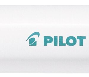 PILOT Marker Pintor F