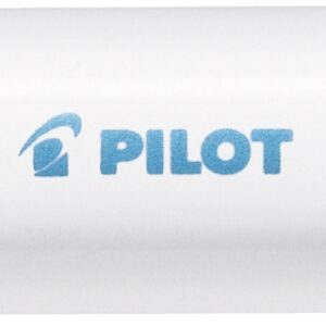 PILOT Marker Pintor M