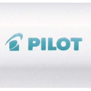 PILOT Marker Pintor M