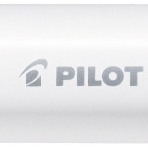 PILOT Marker Pintor M