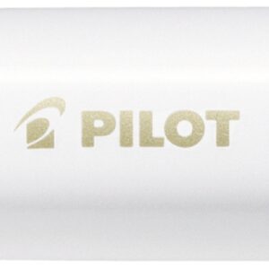 PILOT Marker Pintor M