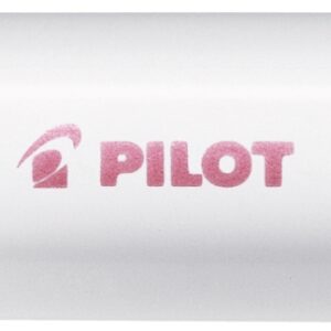 PILOT Marker Pintor M
