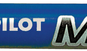 PILOT     Twin Point EF 0,3mm blau 0,3mm