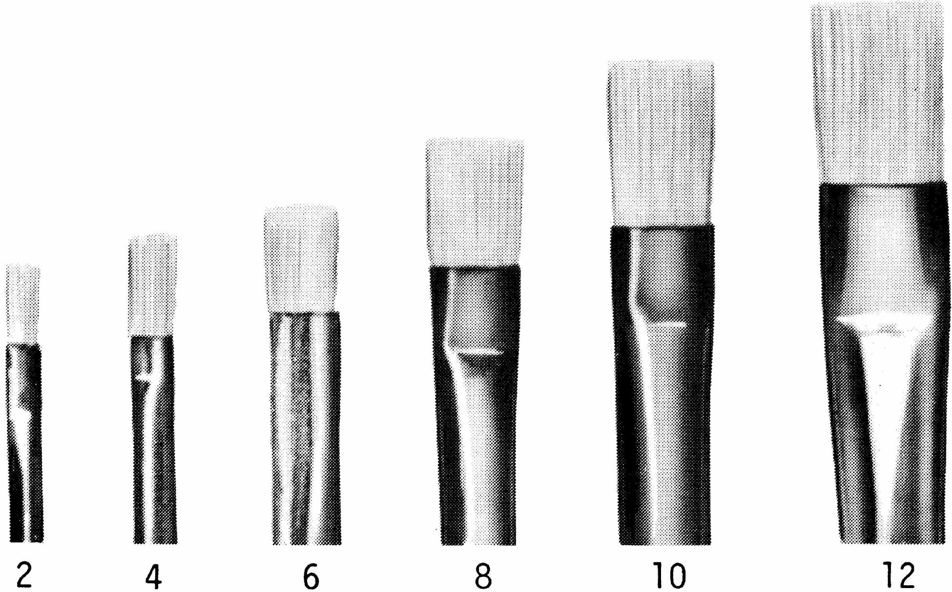TALENS Ölmalpinsel Gr.24
