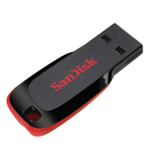 SANDISK   USB Flash Cruzer Blade    16GB
