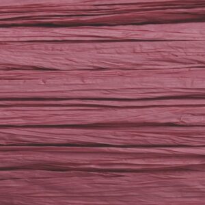 KNORR     Edelbast                   30m