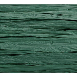 KNORR     Edelbast                   30m