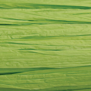 KNORR     Edelbast                   30m