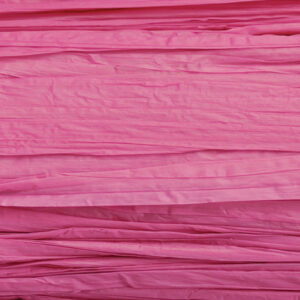 KNORR     Edelbast                   30m