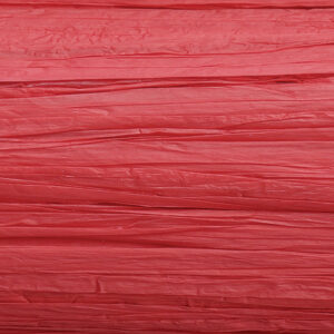 KNORR     Edelbast                   30m