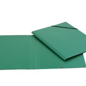 Momentordner Presssp. A4 grün