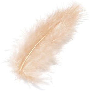 KNORR     Marabufedern              10cm