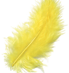 KNORR     Marabufedern              10cm