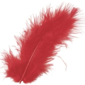 KNORR     Marabufedern              10cm