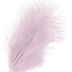 KNORR     Marabufedern              10cm