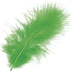 KNORR     Marabufedern              10cm