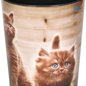 Papierkorb Motiv Neug.Kätzchen