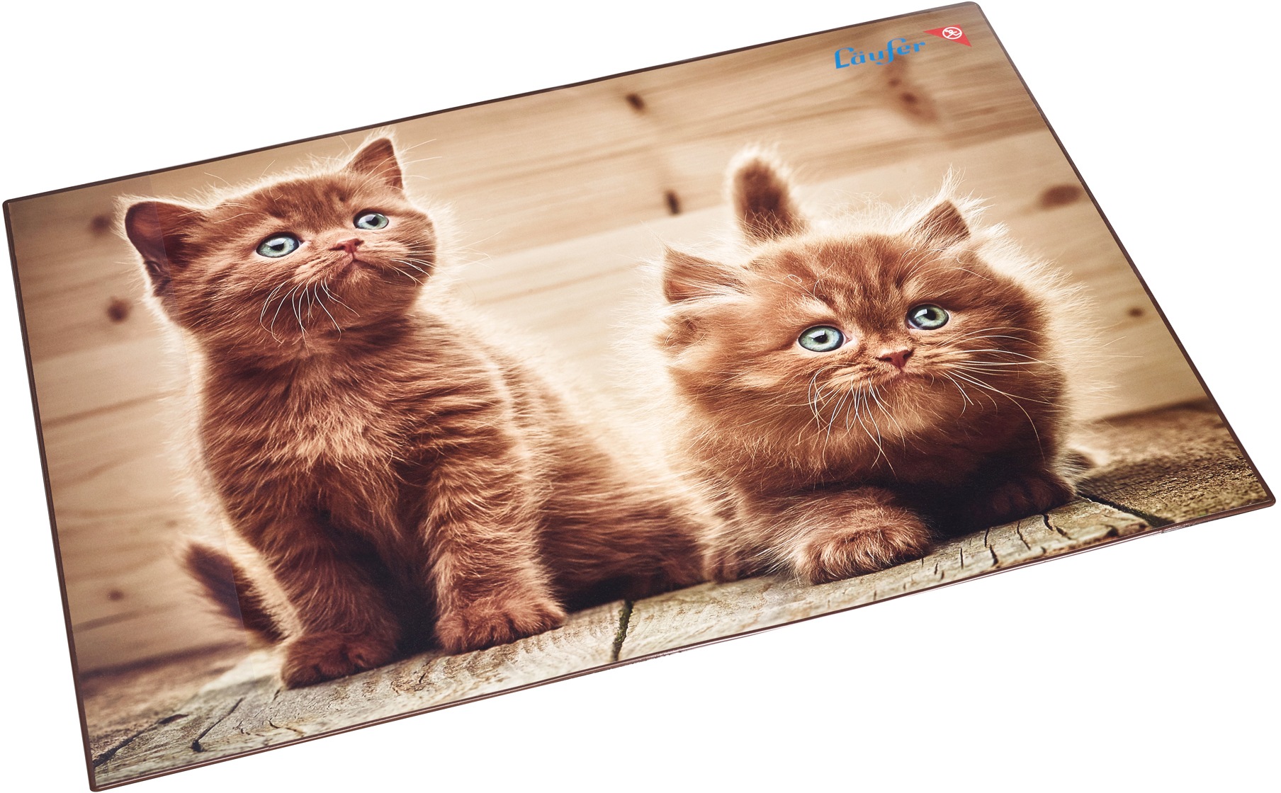 Schreibunterl.Motiv Kätzchen