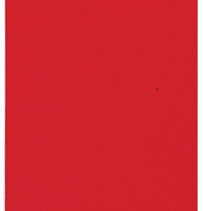 PAGNA     Klemmbrett Color            A4