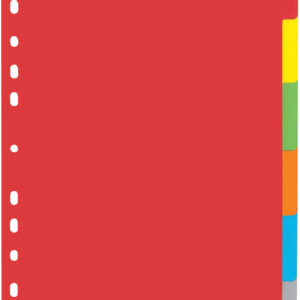 PAGNA     Kartonregister              A4