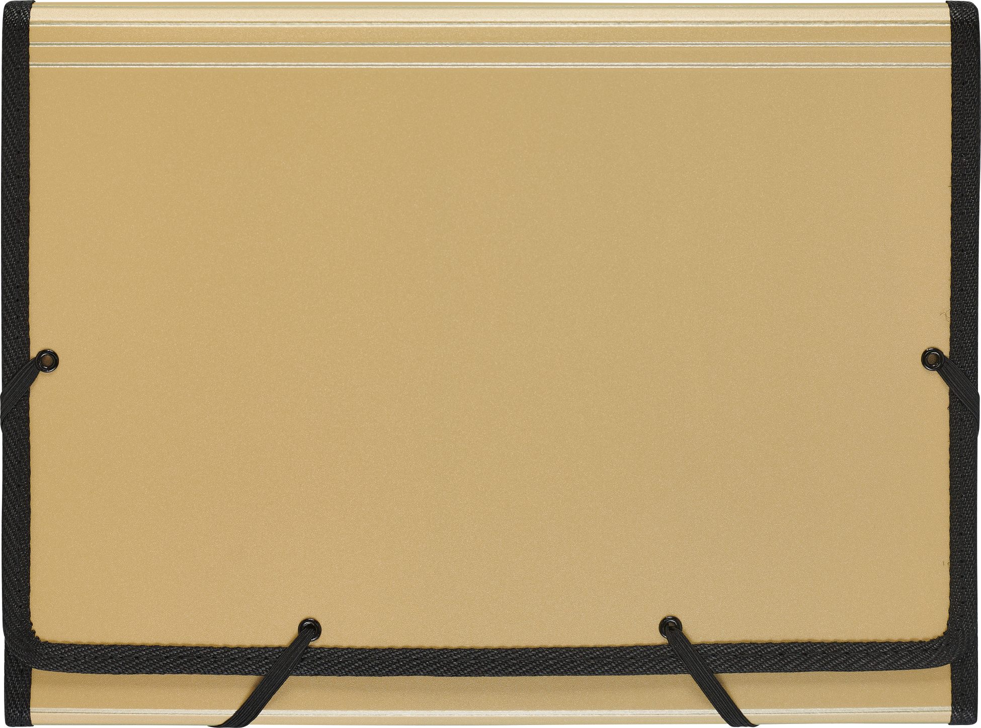 Fächermappe Colours A4 gold