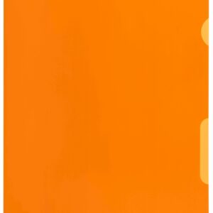 Visa Dossier 43 A4 carrot