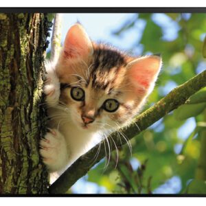 Schreibunterlage Katze 50x34cm