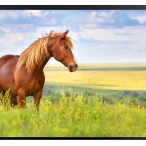 Schreibunterlage Pferd 50x34cm