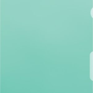 Visa Dossier A4 grün