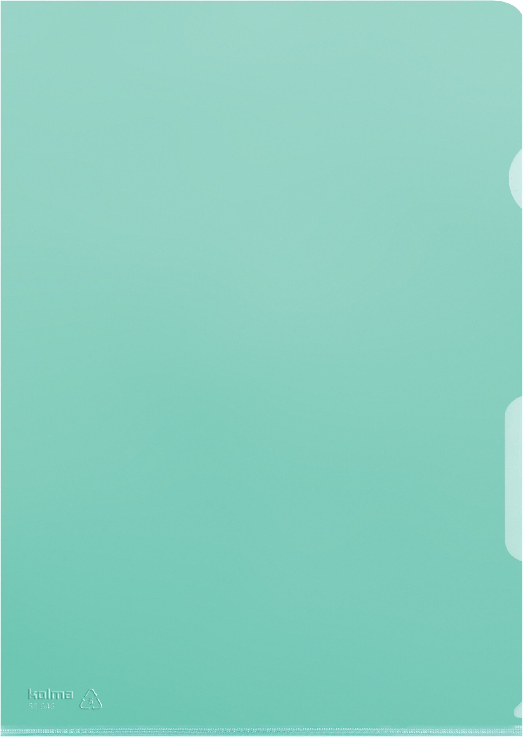 Visa Dossier A4 grün