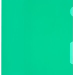 Visa Dossier LineaVerde CopyResist grün