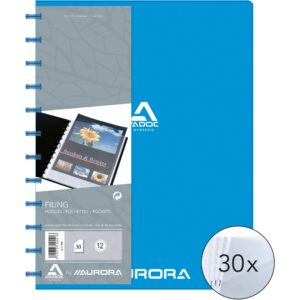 Bindex Stand. Sichtbuch A4 blau