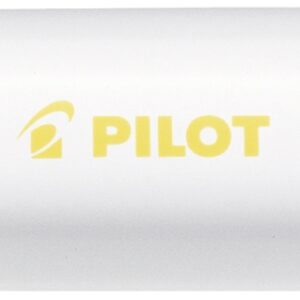 PILOT Marker Pintor M
