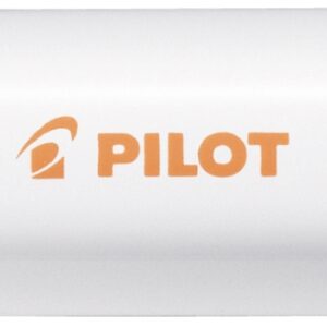 PILOT Marker Pintor M