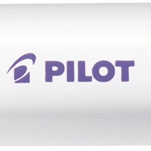 PILOT Marker Pintor M