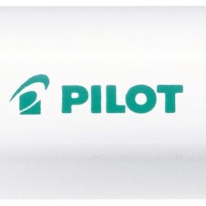 PILOT Marker Pintor M