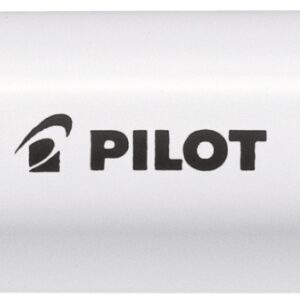 PILOT Marker Pintor M