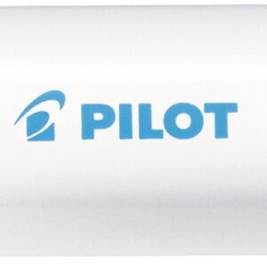 PILOT Marker Pintor M