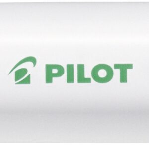 PILOT Marker Pintor M