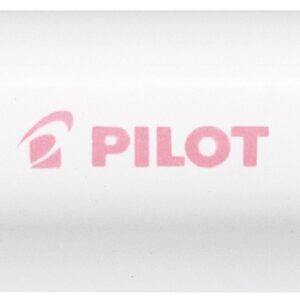 PILOT Marker Pintor M
